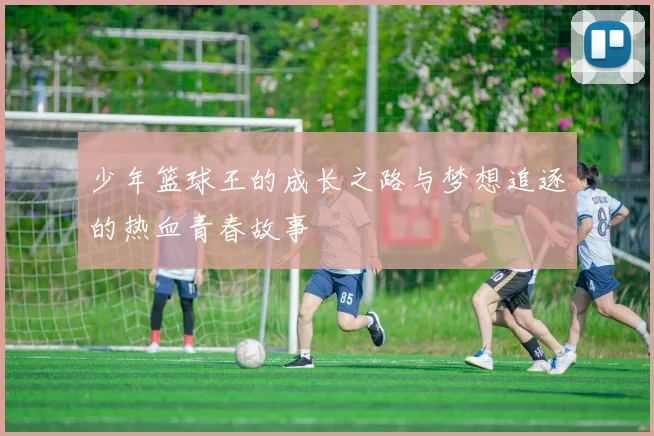 少年篮球王的成长之路与梦想追逐的热血青春故事