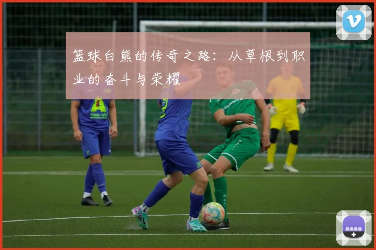 篮球白熊的传奇之路：从草根到职业的奋斗与荣耀
