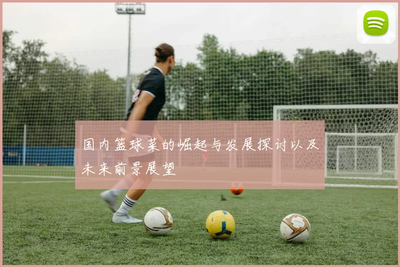 国内篮球菜的崛起与发展探讨以及未来前景展望
