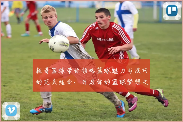 栋哥篮球带你领略篮球魅力与技巧的完美结合，开启你的篮球梦想之旅