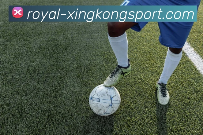 星空体育服务体系